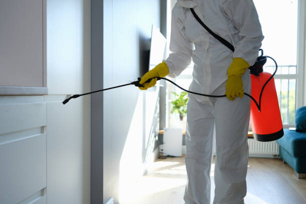 Best Mold Cleaning Services  in Traer, IA