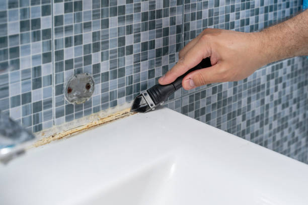 Best Mold Remediation  in Traer, IA