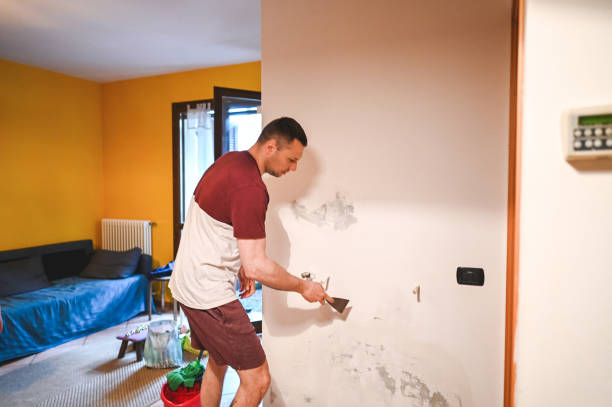 Best Crawl Space Mold Removal  in Traer, IA