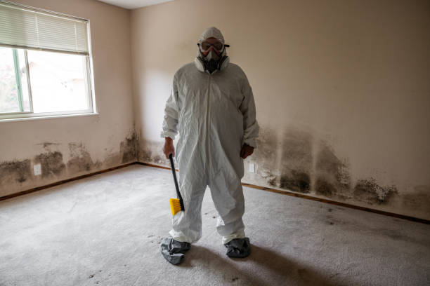 Mold Testing and Removal in Traer, IA