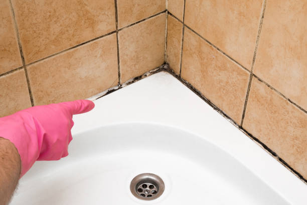 Best Fast Mold Removal  in Traer, IA